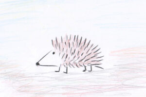 igel